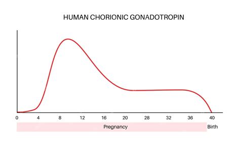 gonadotrofina coriônica valores